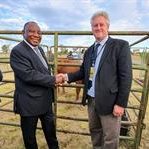 Cyril ontvang Stoetbul van Agri SA Direkteur